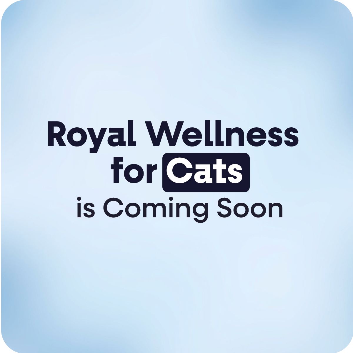 Multi Wellness Cats