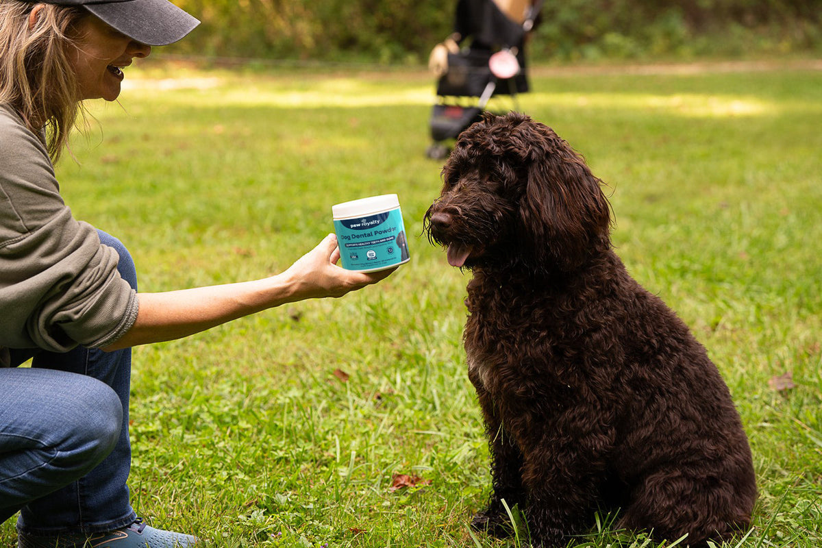 Pet Daily Health Guide