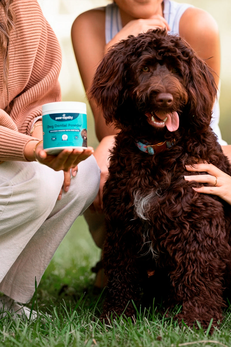 Dental Powder
