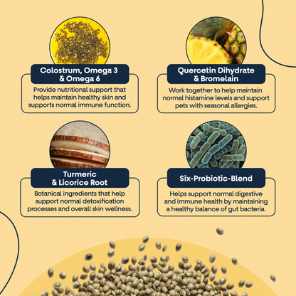 Allergy  & Immune