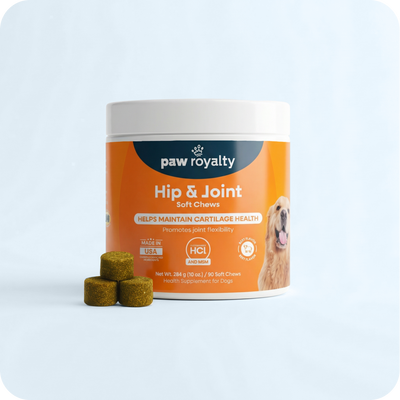 Hip & Joint