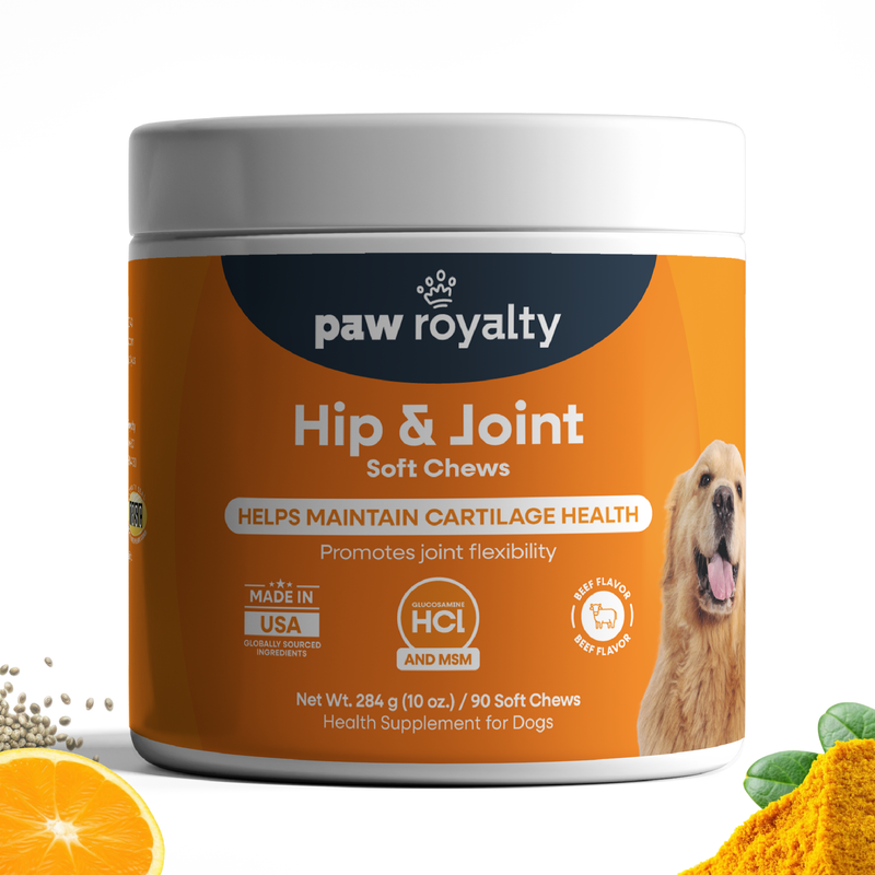Hip & Joint