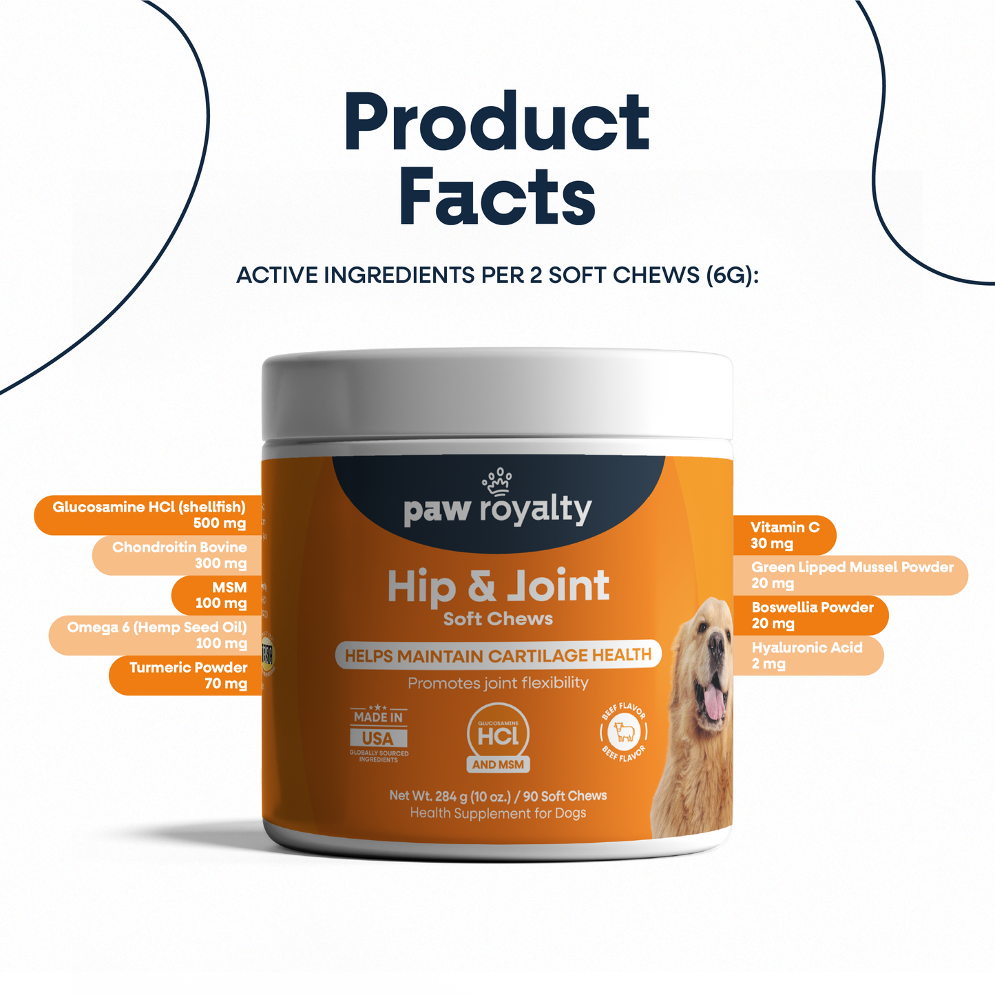 Hip & Joint
