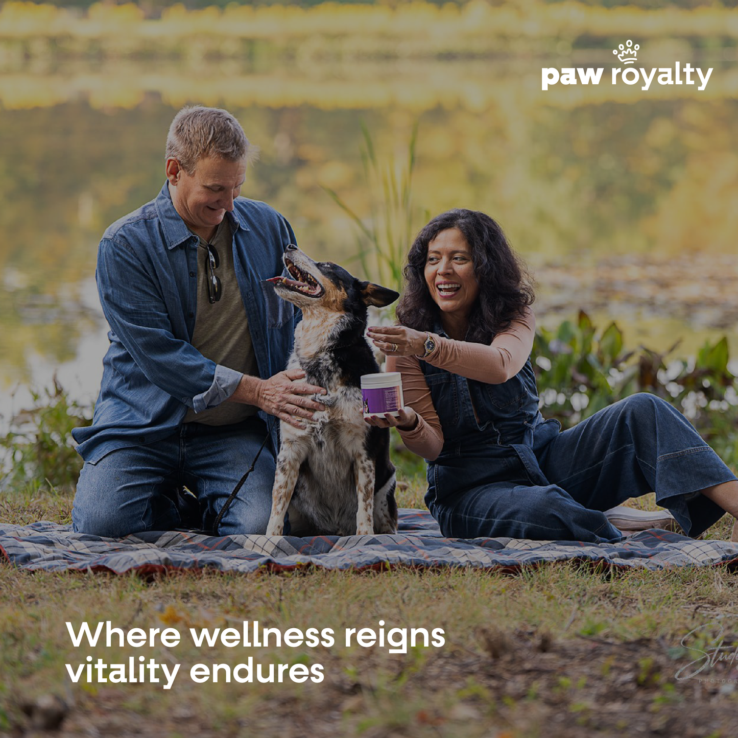 Multi Wellness