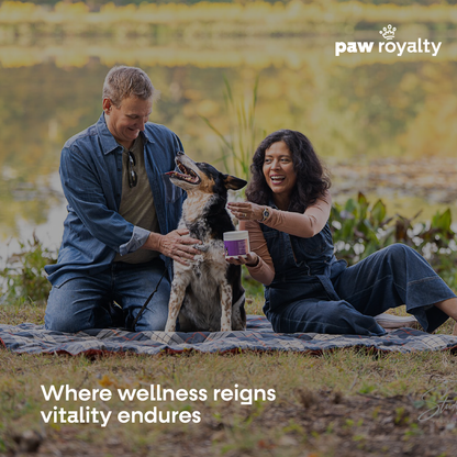 Multi Wellness
