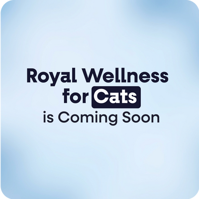 Probiotics Cats