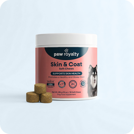 Skin & Coat