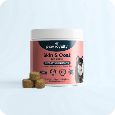 Skin & Coat